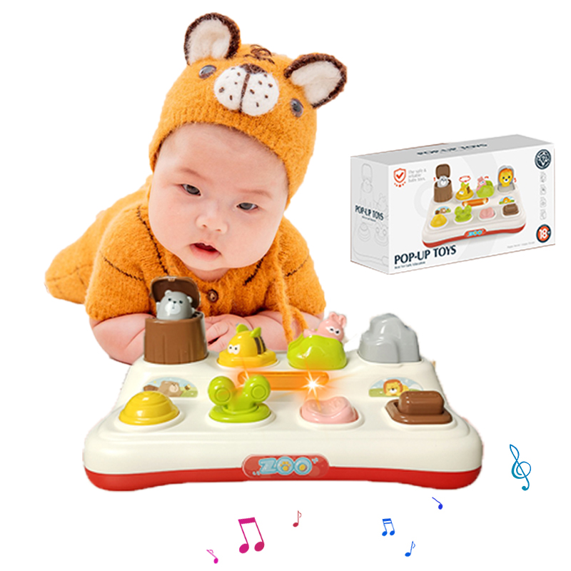 Photography Jokes - Baby Pop Up Toy Animals Hide